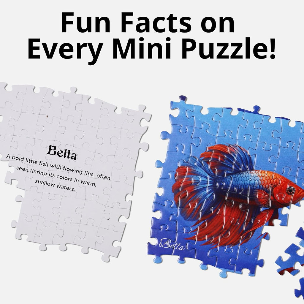 Rokt&razo Ryby – zestaw 24 mini puzzli – 1000 sztuk – kalendarz