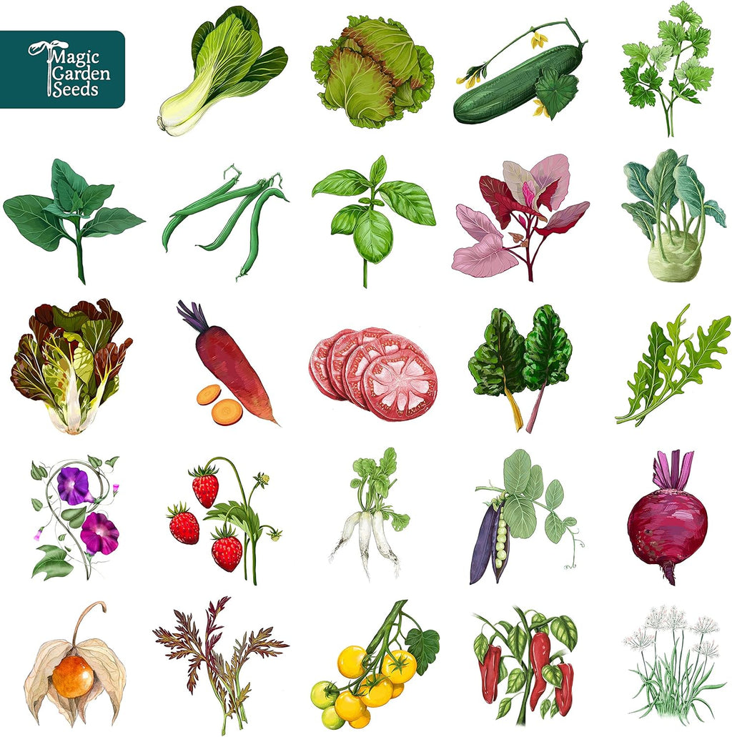 Magic Garden Seeds Magiczny czas - Kalendaz z nasionami organicznymi - miejskie szczescie ogrodowe - 24 sasze