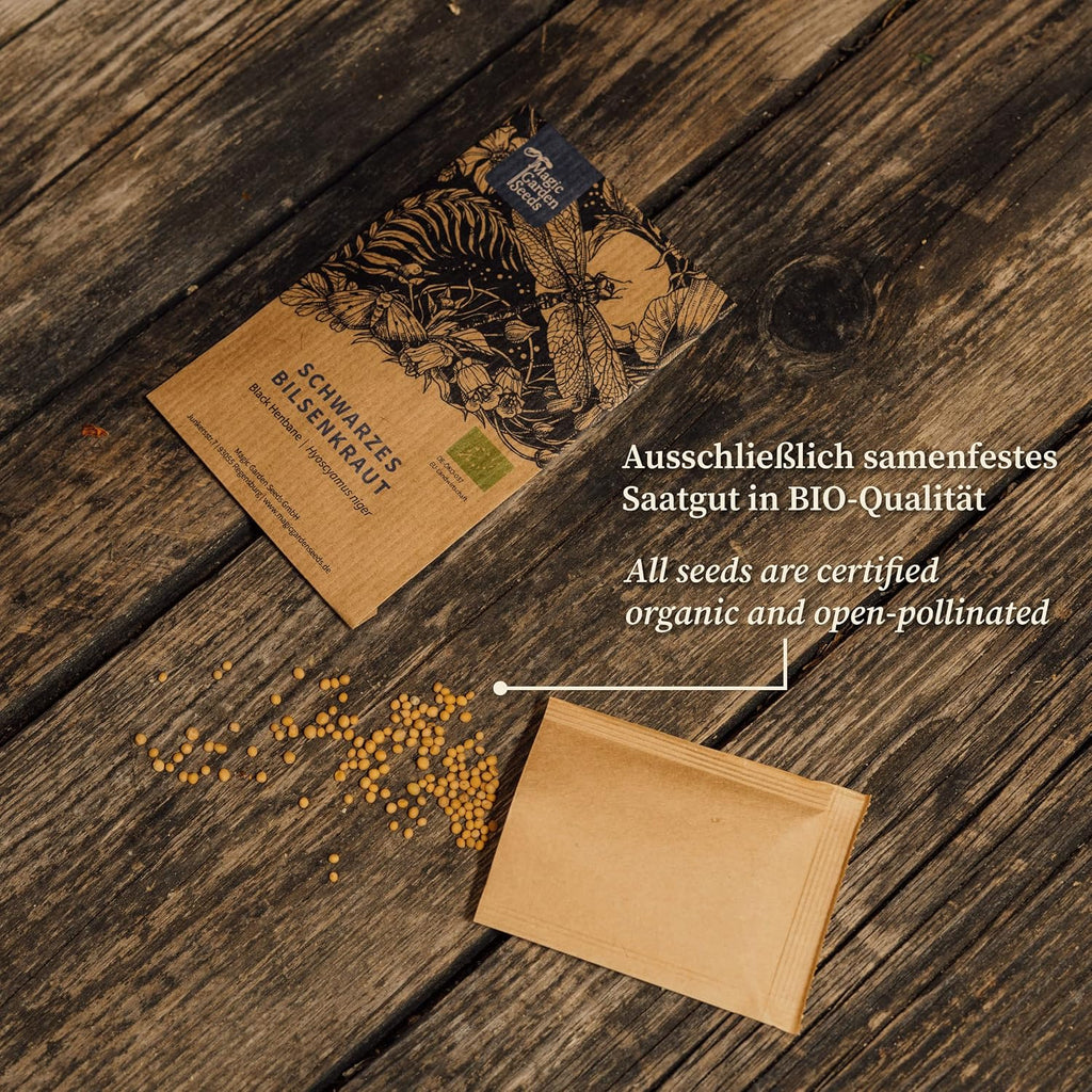 Magic Garden Seeds Magiczny czas - Kalendaz z nasionami organicznymi - miejskie szczescie ogrodowe - 24 sasze